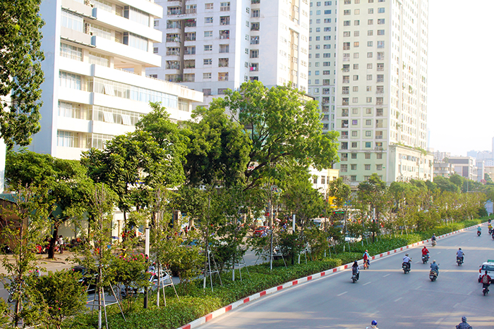 Dự án phủ xanh đô thị