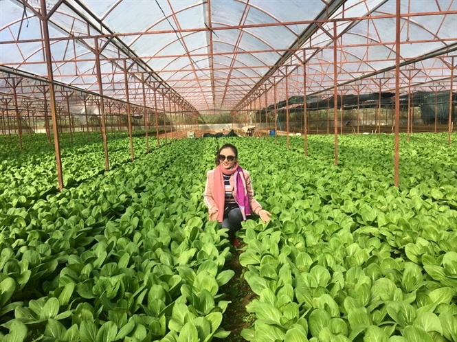 Dự án phát triển khu nông nghiệp hữu cơ - tái chế
